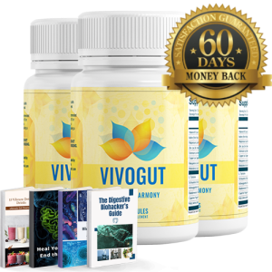 Vivagut